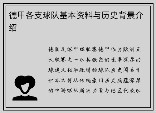 德甲各支球队基本资料与历史背景介绍